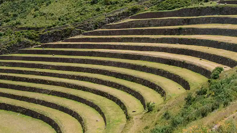 Pisac Ruins History | Ultimate Trekking