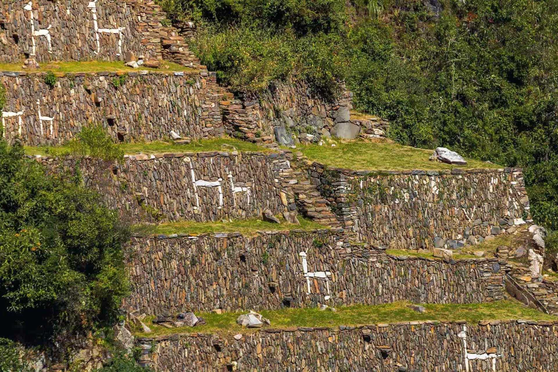 Choquequirao llamas: the mysterious white stone figures in the Andes | Ultimate Trekking