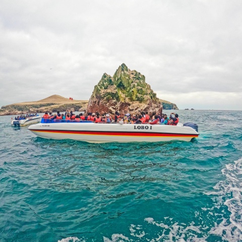 Tourists sailing near the Ballestas Islands | Ultimate Trekking