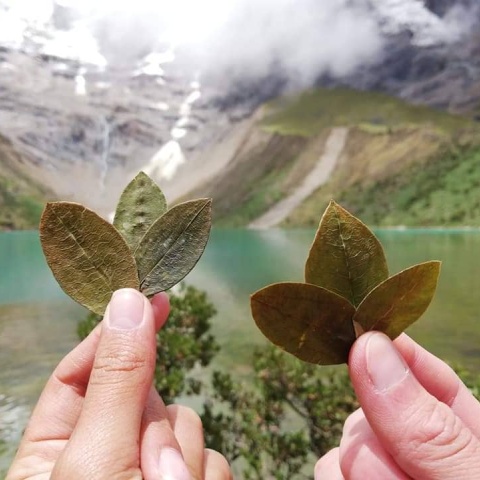 Offering with coca leaves at Humantay Lake | Ultimate Trekking
