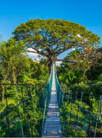 Short Inca trail and Tambopata | Ultimate Trekking
