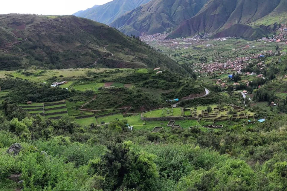 Sinkuna kancha | Ultimate Trekking