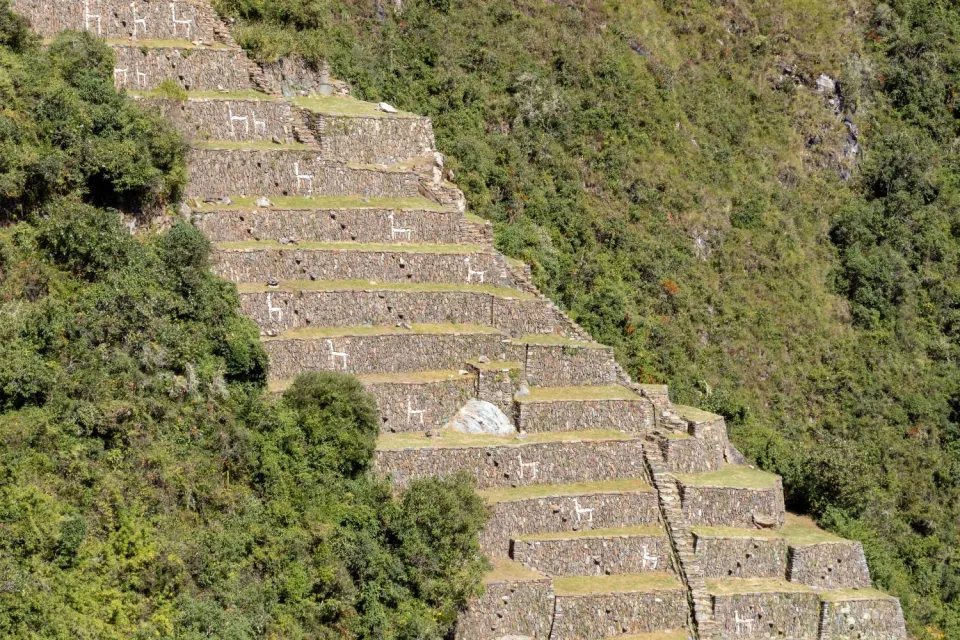 View of the Terraces of Llamas | Ultimate Trekking