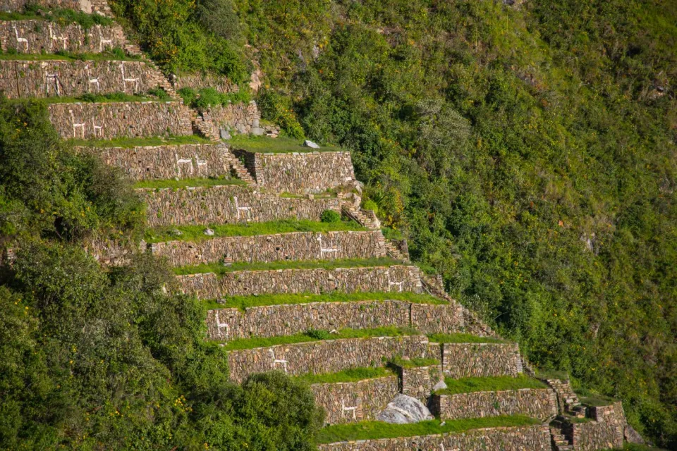 The agricultural terraces or terraces that compose the Choquequirao Llamas | Ultimate Trekking