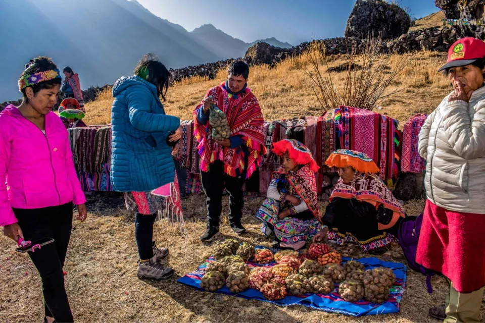 Quechua women selling potatoes and carrots | Ultimate Trekking