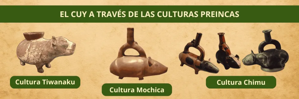 El cuy a traves de las culturas preincas en ceramicas | Ultimate Trekking