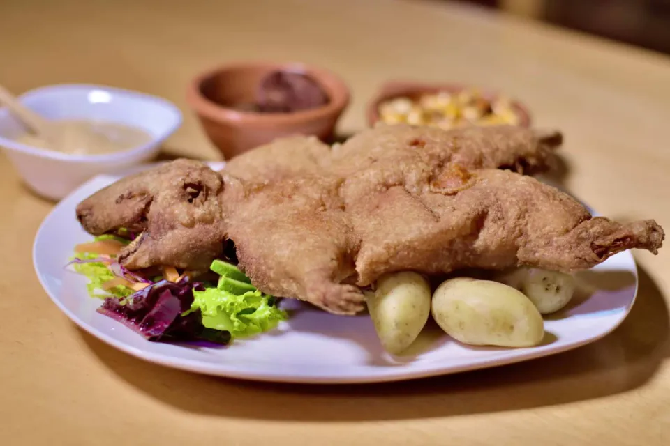 Dish made with peruvian guinea pig for tasting | Ultimate Trekking