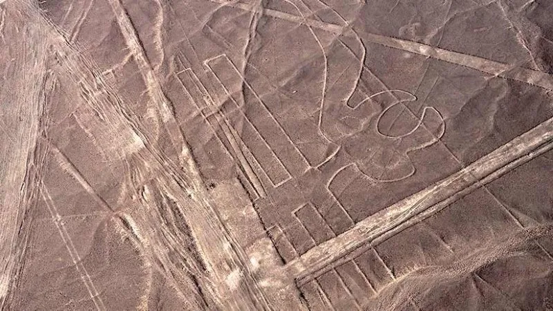 Geoglyph of the Parrot of the nazca lines | Ultimate Trekking