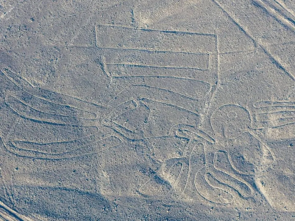 Geoglyph of the Pelican of the nazca lines | Ultimate Trekking
