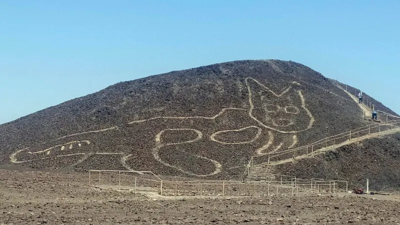 Geoglyph of the cat of the nazca lines | Ultimate Trekking