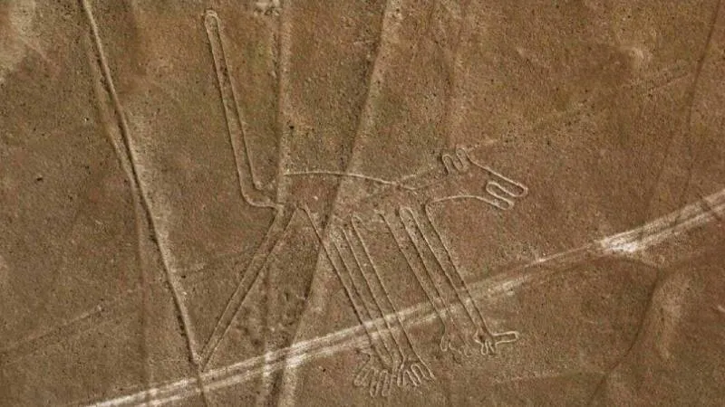 Geoglyph of the dog of the nazca lines | Ultimate Trekking