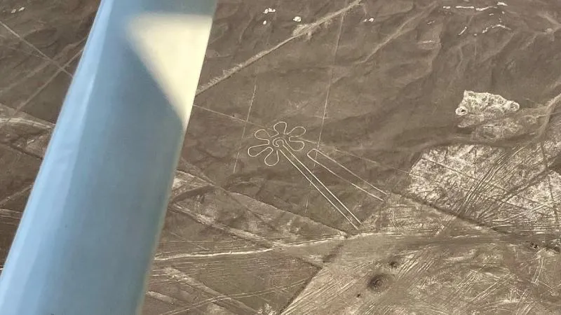 Geoglyph of the flower of the nazca lines | Ultimate Trekking