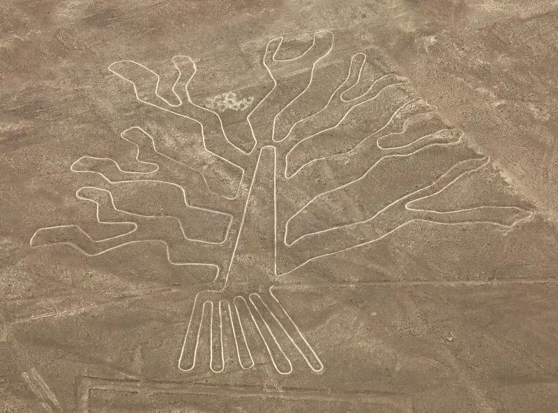 Geoglyph of the tree of the nazca lines | Ultimate Trekking