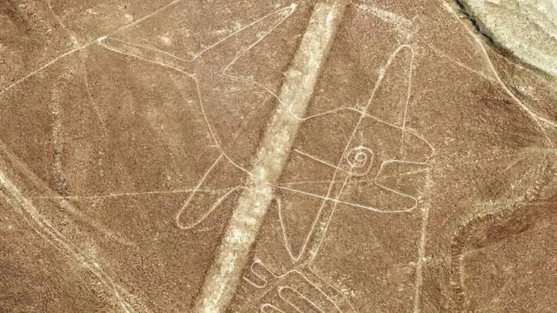 Geoglyph of the whale of the nazca lines | Ultimate Trekking