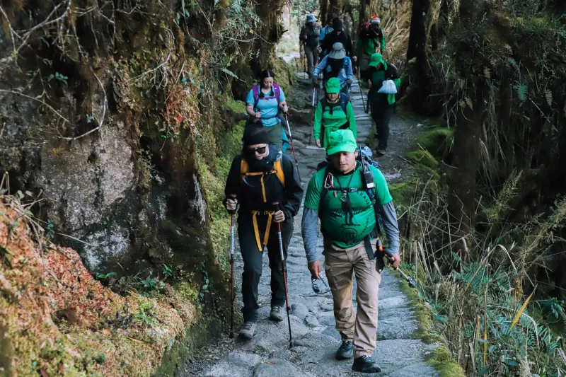 Expert Guides Ultimate Trekking