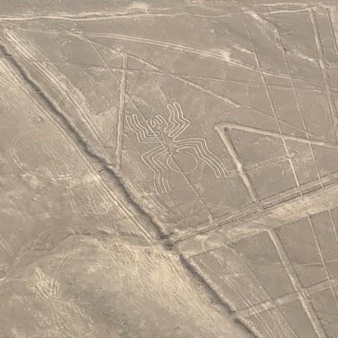 Photo of a spider geoglyph while flying over it in a small plane | Ultimate Trekking