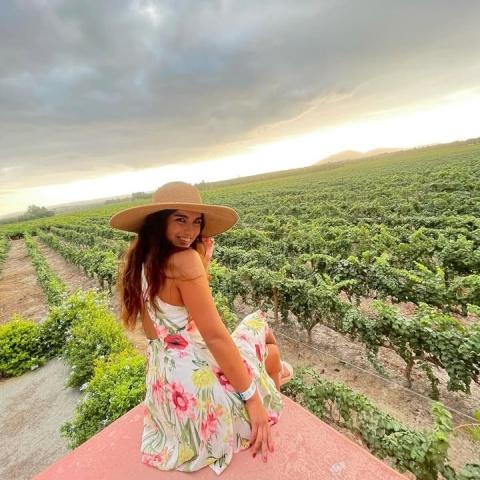 Tacama estate vineyards | Ultimate Trekking