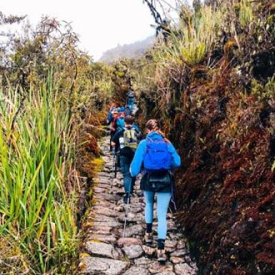 Inca Trail Hike to Machu Picchu | Ultimate Trekking